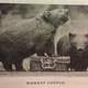 My favorite photo, from Page 236.